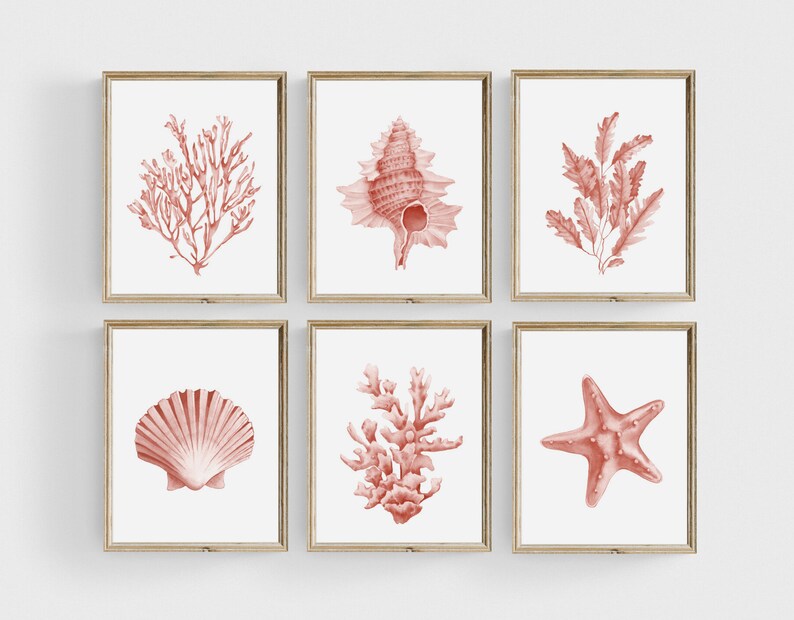 Set of 6 coastal digital prints. Hand-painted watercolor seashells, corals, seaweeds and starfish in a soft blush pink color. Beach house decor.