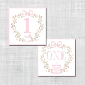 Girl Milestone Cards - Pink Floral Crest