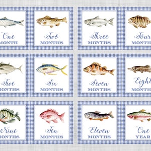 Cartões de marcos de pesca - Gingham azul