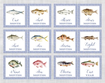 Fish Milestone Cards - Blue Gingham