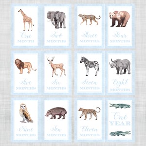 Cartes d'étapes importantes sur les animaux de zoo