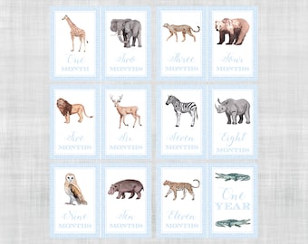 Zoo Animal Milestone Cards