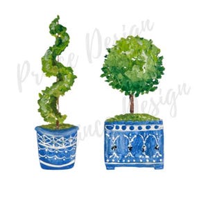 Könnte beinhalten: Aquarellillustration von zwei Topiarienbäumen in Töpfen. Einer hat eine Spiralform, der andere eine runde Form. Beide stehen in blauen Töpfen mit weißen dekorativen Mustern. Die Bäume haben grünes Laub.
