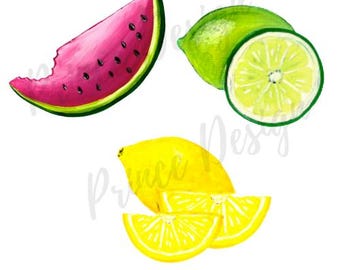 Aquarell Sommer Obst Clipart - Zitrone Limette Wassermelone PNG Digital Download für Scrapbook Crafts