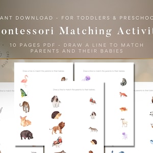 Montessori Printable Activity - Matching game activity for toddlers and preschoolers, Instant downloadable learning educational printable