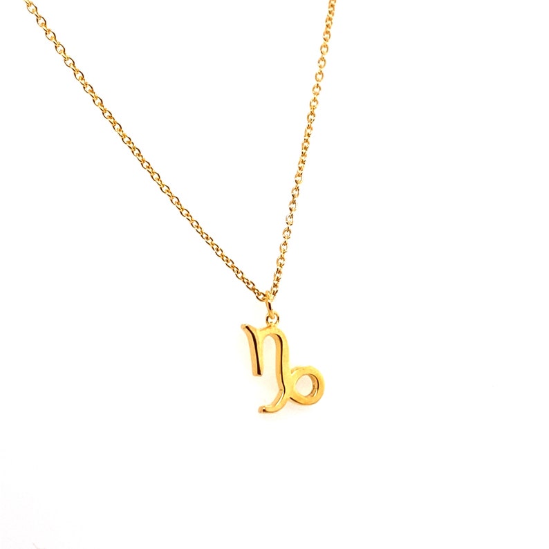 Tiny Capricorn Necklace Sterling Silver Capricorn Necklace Gold Capricorn Necklace Capricorn Necklace Capricorn Necklace for Women