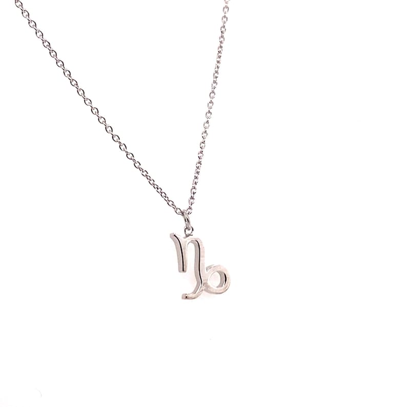 Tiny Capricorn Necklace Sterling Silver Capricorn Necklace Gold Capricorn Necklace Capricorn Necklace Capricorn Necklace for Women