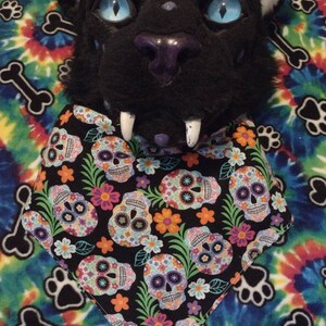 Bandana pour combinaison de fourrure Sugar Skulls