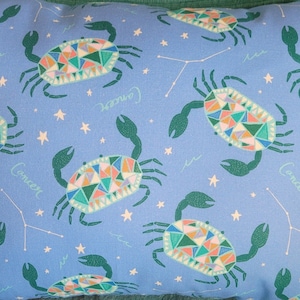 Zodiac Pillows/ Taurus/ Gemini and Cancer/ Birthday gift