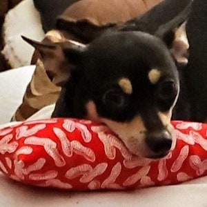 May include: A black and brown chihuahua dog resting its head on a red and white patterned pillow.
