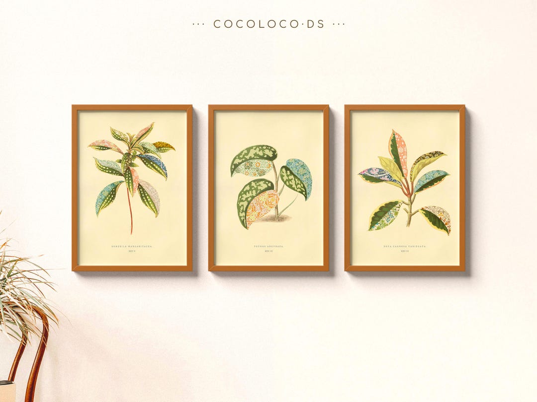 Vintage Botanical Collage Print Set, Arts & Crafts Style Giclée Wall ...
