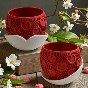 Puede incluir: Dos macetas rojas con diseños de corazones, sobre platillos blancos con forma de pétalo. Las macetas tienen un diseño texturizado. Flores blancas y macarons rosas en el fondo. Las macetas están vacías.