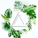 Profilbild von LuXeAscension