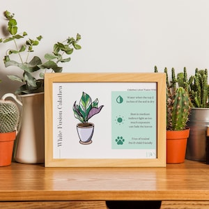 ホワイトフュージョンカラテア屋内植物ケアカード - デジタルプリントのダウンロード、観葉植物のお母さんやお父さんへのギフト、家の装飾、植物に最適
