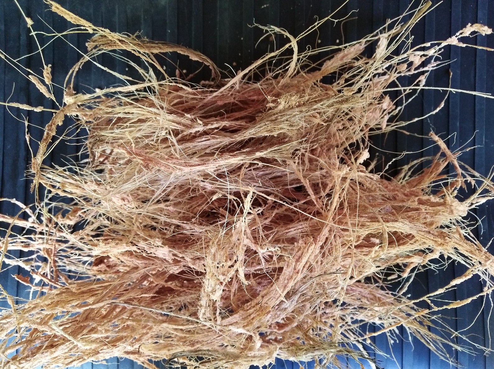 Coconut Fiber For Plants
