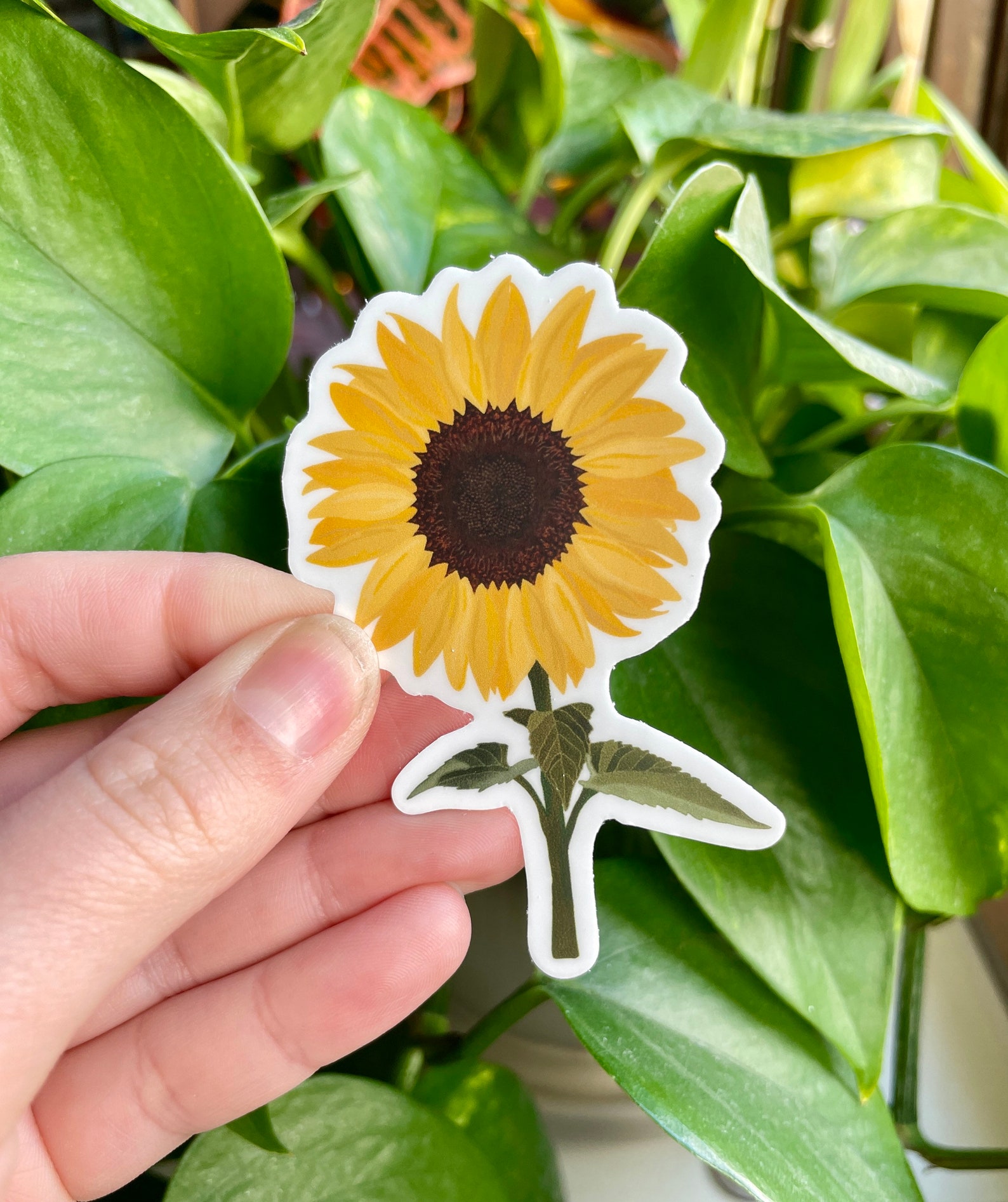 Sunflower Vinyl Etsy