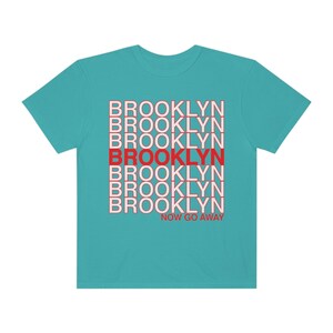Funny Brooklyn T-shirt, New Yorker Tee, Unisex New York City Gifts, NYC borough, Comfort Colors sarcastic type Tee Brooklyn now go away! image 7