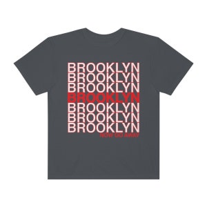 Funny Brooklyn T-shirt, New Yorker Tee, Unisex New York City Gifts, NYC borough, Comfort Colors sarcastic type Tee Brooklyn now go away! image 8
