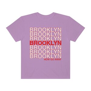 Funny Brooklyn T-shirt, New Yorker Tee, Unisex New York City Gifts, NYC borough, Comfort Colors sarcastic type Tee Brooklyn now go away! image 9