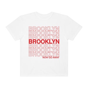 Funny Brooklyn T-shirt, New Yorker Tee, Unisex New York City Gifts, NYC borough, Comfort Colors sarcastic type Tee Brooklyn now go away! image 4