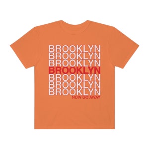 Funny Brooklyn T-shirt, New Yorker Tee, Unisex New York City Gifts, NYC borough, Comfort Colors sarcastic type Tee Brooklyn now go away! image 6
