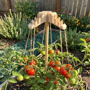 May include: A wooden tomato cage with a central pole and a decorative top, supporting tomato plants with red and green fruit. The garden setting includes other plants and a wooden fence.