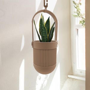 Puede incluir: Una maceta colgante de color beige, que contiene una planta de serpiente con hojas verdes y amarillas. La maceta tiene un diseño acanalado y un asa curva. Está suspendida de una cadena contra una pared blanca.