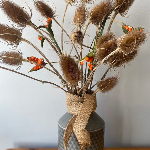 TEASELS wild from Norfolk, thistles, seed heads, architectural plant, farmhouse, rustic plant, dried flowers, flower arranging, Xmas decs