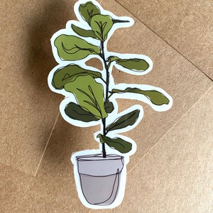 Fiddle Leaf Fig Plant Sticker, Weatherproof Vinyl Sticker, Laptop Sticker, Water Bottle sticker image 1