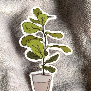 Fiddle Leaf Fig Plant Sticker, Weatherproof Vinyl Sticker, Laptop Sticker, Water Bottle sticker image 3