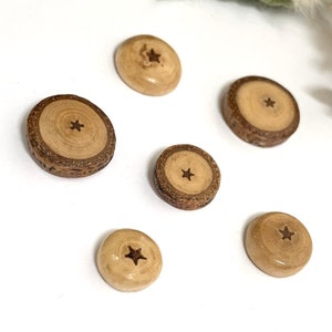 Cottonwood Star - Custom Discs/Beads - stars naturally occurring