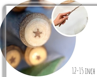 Cottonwood Star Wand, 12-14 inch, Naturally Occurring Stars