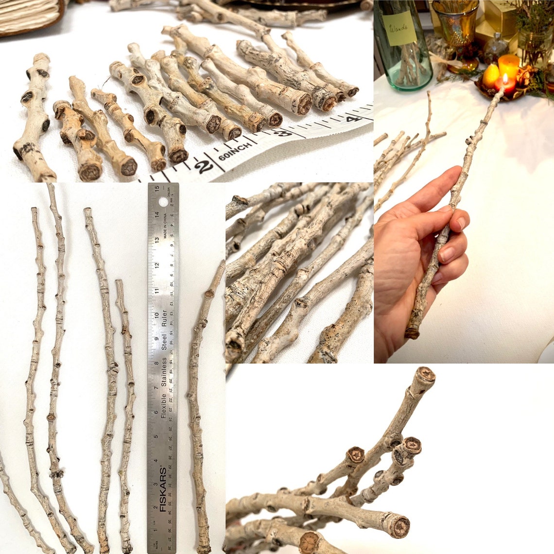 Real Cottonwood Twigs & Branches Stars Naturally Occurring Etsy