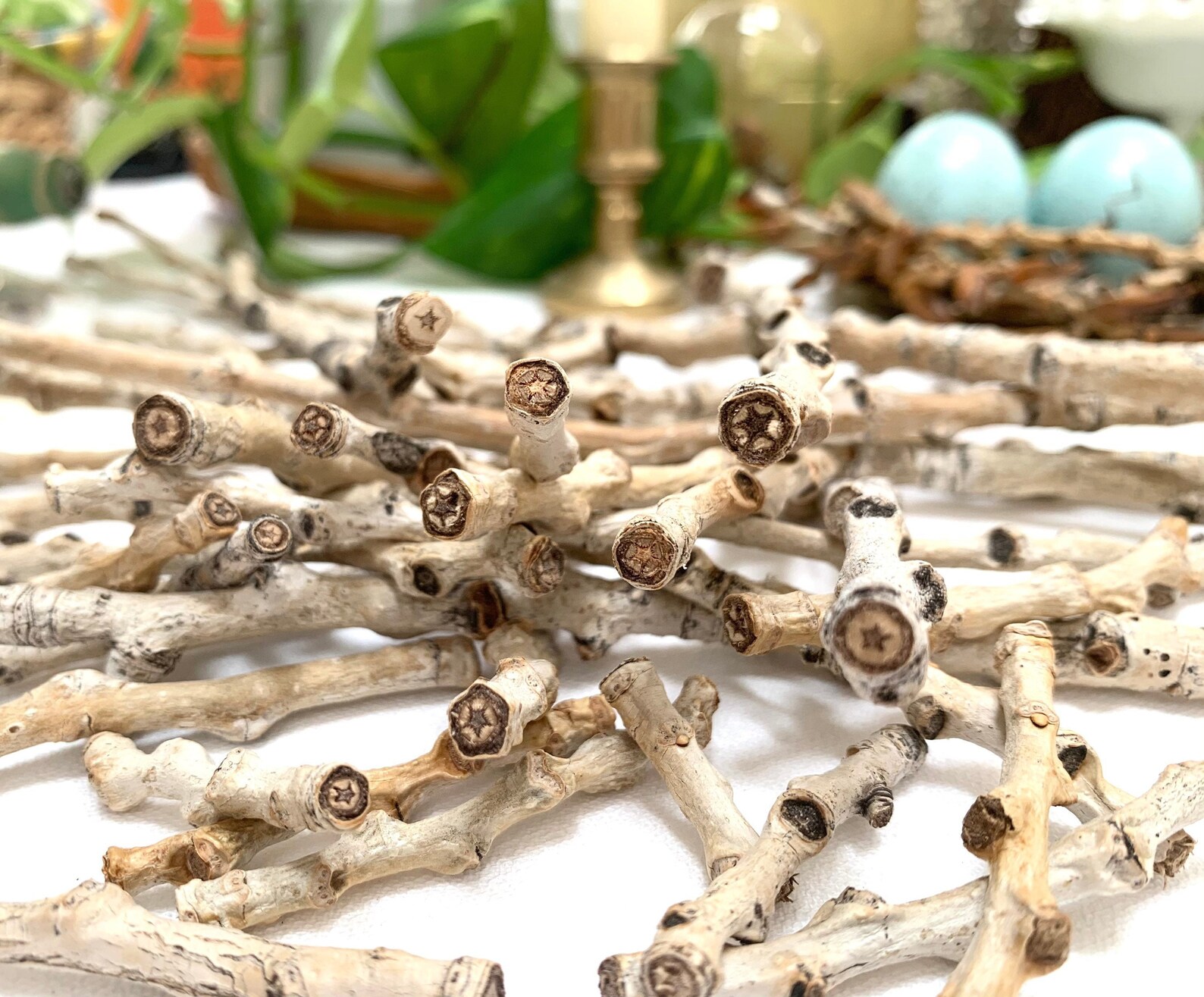 Real Cottonwood Twigs & Branches Stars Naturally Occurring Etsy