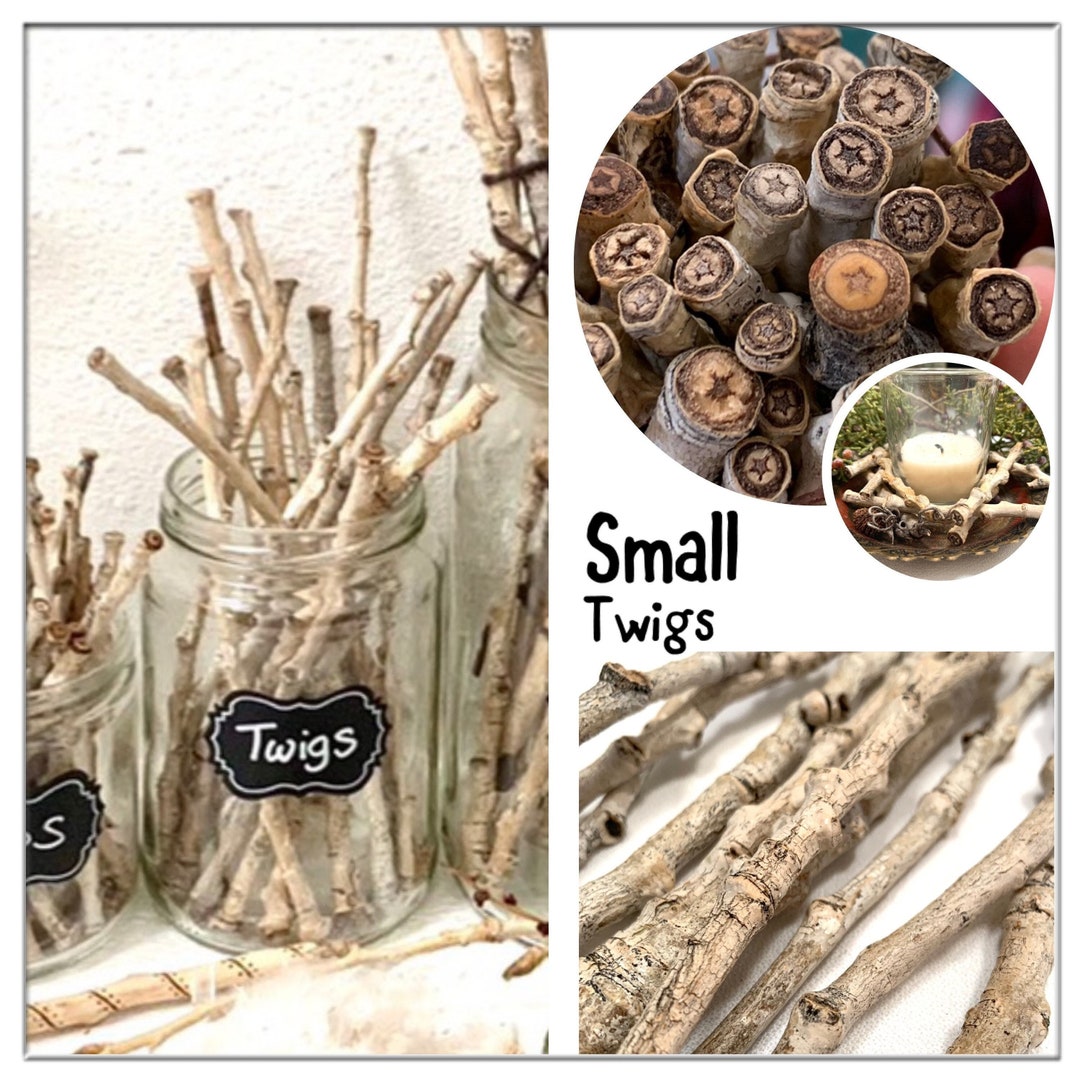 Cottonwood Stars Bundle of Small Twigs Stars Naturally Etsy