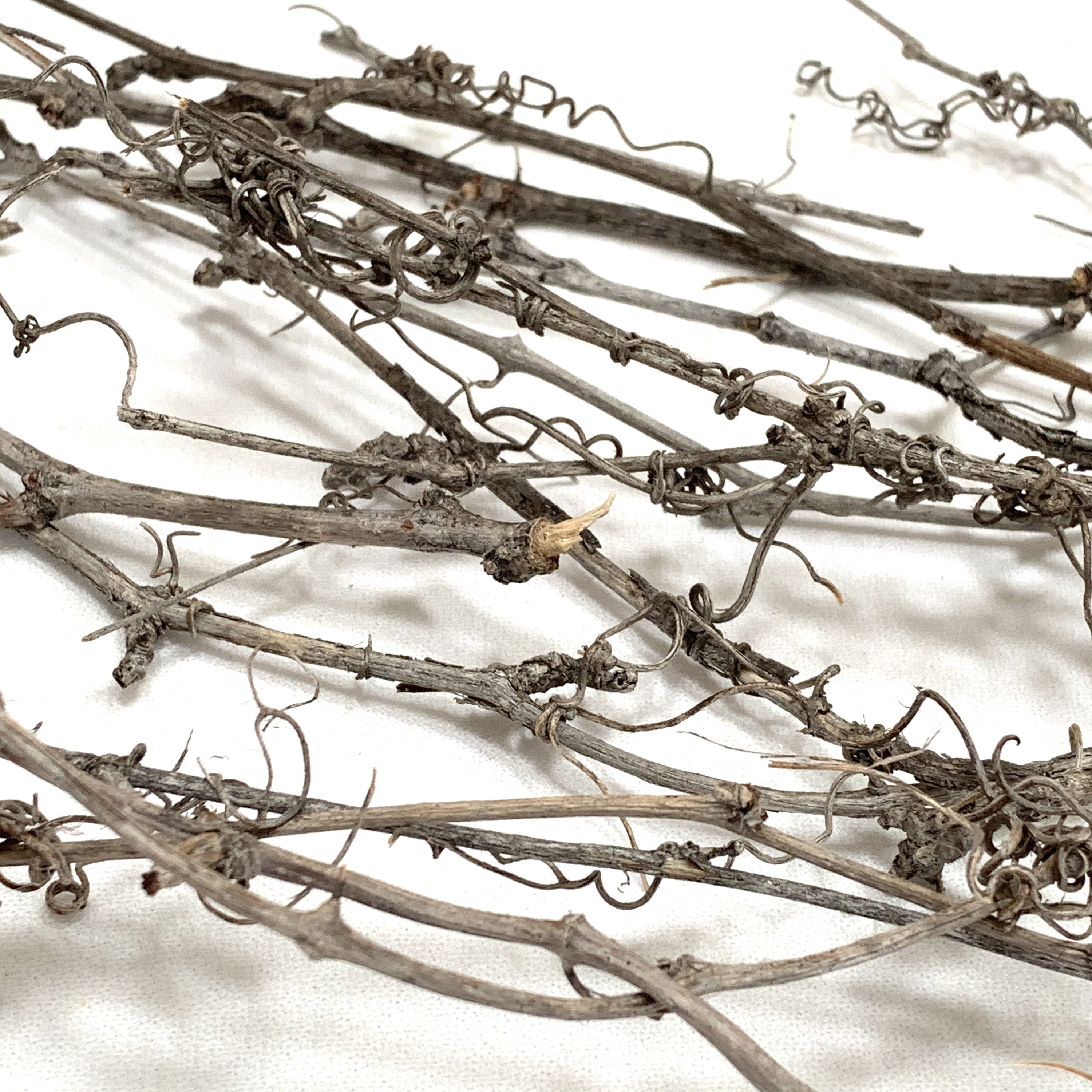 Real Vine Branches dried aged Etsy