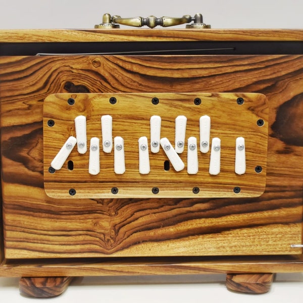 Shruti Box Teakholz Ply Sur Peti Mit Formtasche, Natürliche Farbe, Musikinstrument, 14x10x3 Zoll Gestimmt auf 440 Hertz und 432 Hertz