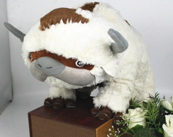 appa teddy