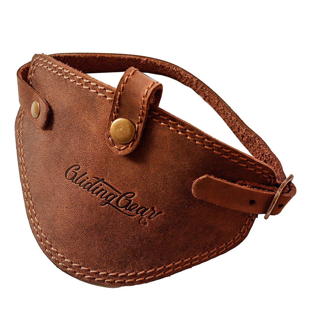 motorcycle shifter protector