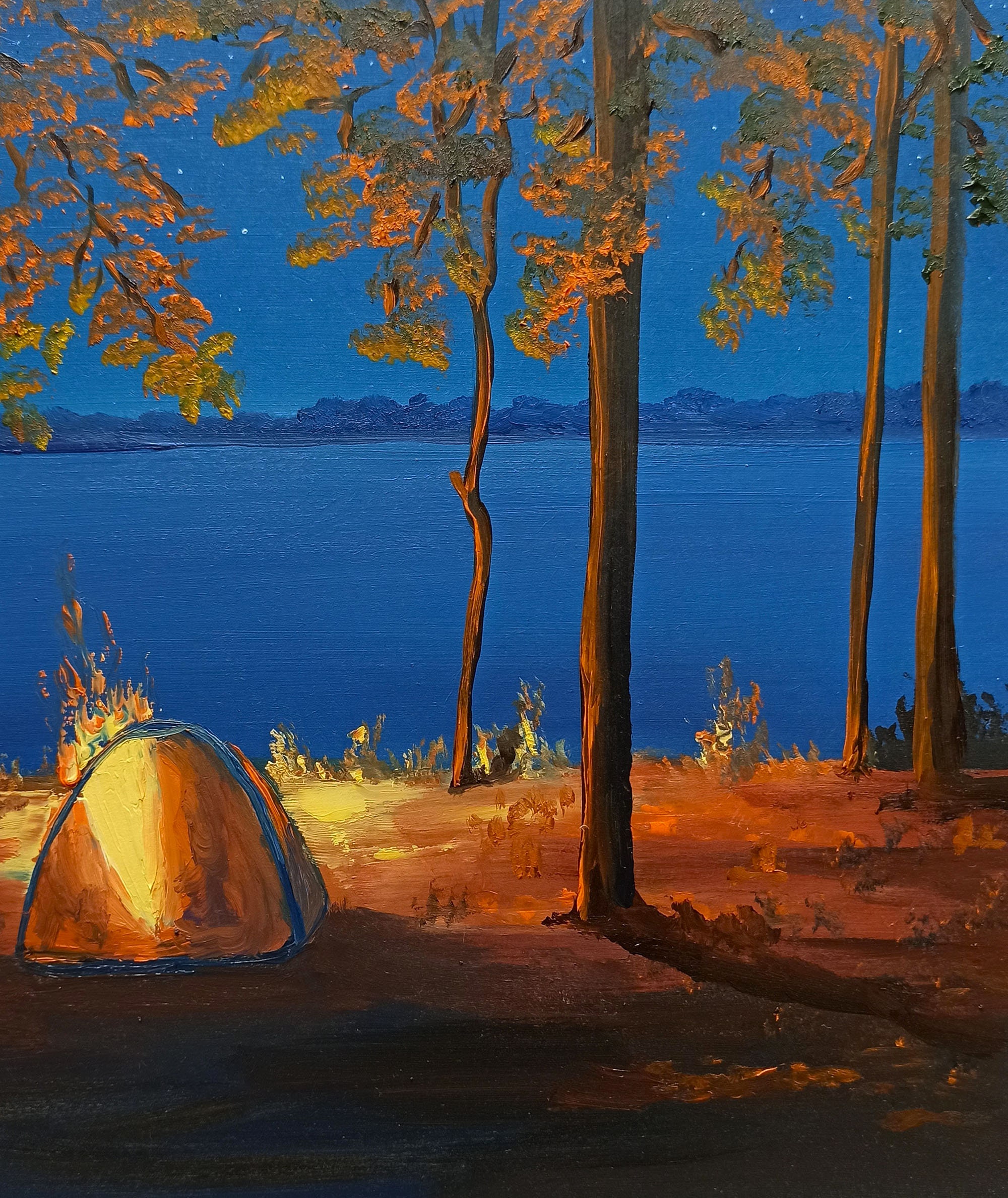 Campfire Painting Camping Artwork Impasto Forest Lake Etsy