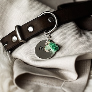 Dog Tag &quot;Mint&quot; with Pendants, Dog Tag, DogTag for Dogs, Pet Id Tag, Personalized Dog Tag