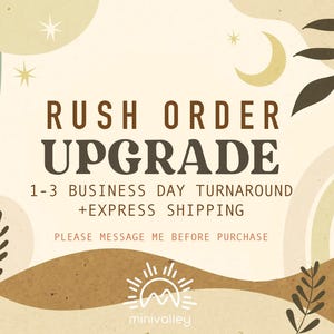 Rush Add-On listing Fedex express upgrade ( US only) - Please message before purchase