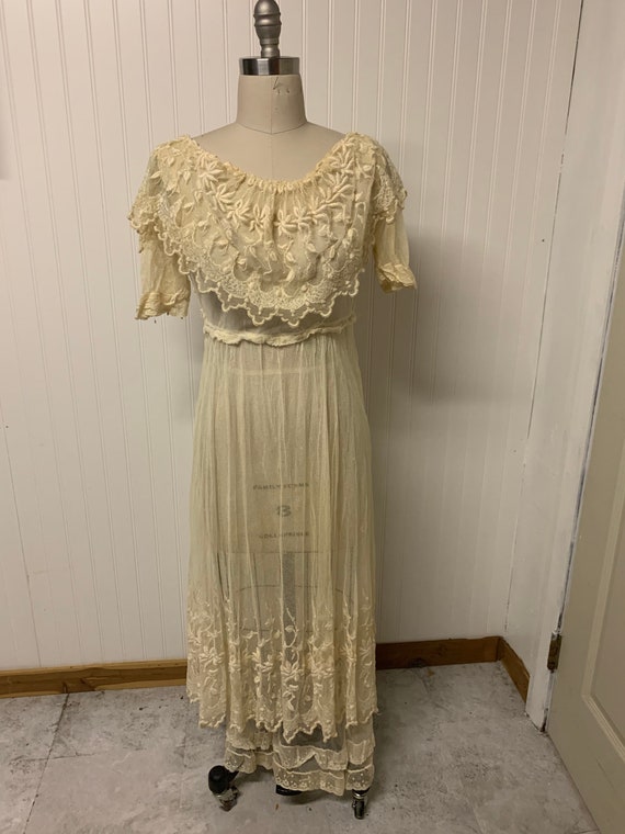 Edwardian Net Dress