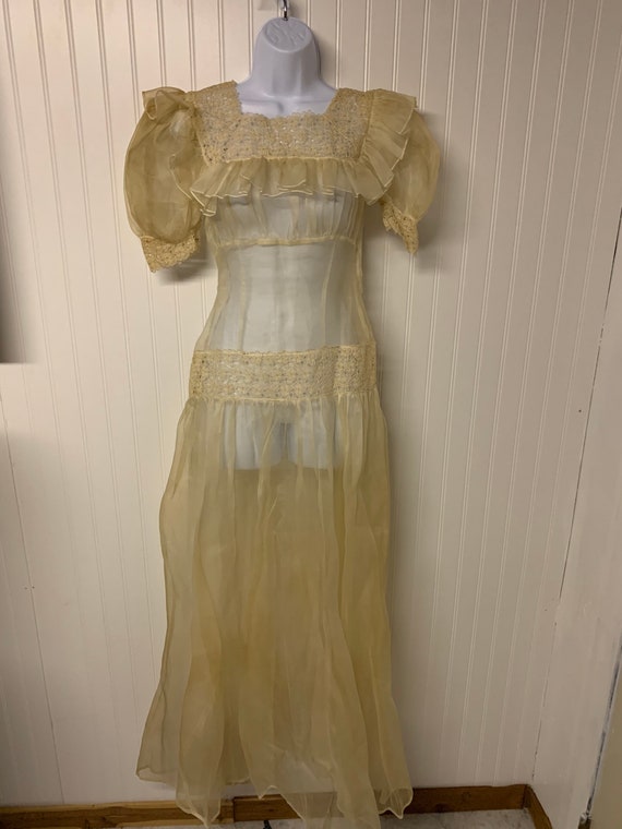 Edwardian Organdy Dress