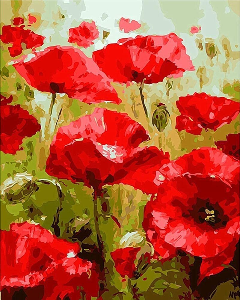 Portrait of Poppies DIY Paint By Numbers 40x50 Same day AU Etsy