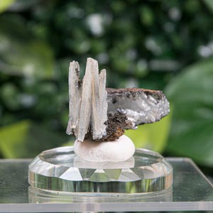 Puede incluir: Un grupo de cristales de barita translúcidos en forma de cuchilla con una base blanca opaca, que descansa sobre una piedra blanca lisa. El espécimen mineral se exhibe sobre una base circular de vidrio facetado, mostrando su estructura.