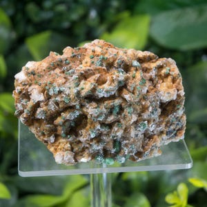 Peut inclure: Spécimen minéral brut, texturé, aux teintes marron, beige et vertes. La pierre est présentée sur un présentoir transparent, mettant en valeur sa forme irrégulière et sa structure cristalline. Le fond est un feuillage vert flou.