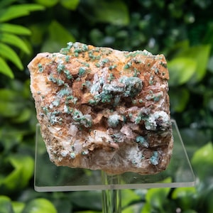 Può includere: Primo piano di un campione minerale naturale. La roccia ha una superficie ruvida e strutturata con un mix di tonalità marroni, beige e bianche. Piccole formazioni di cristalli verdi vibranti sono sparse sulla superficie. Il minerale è esposto su un supporto trasparente.