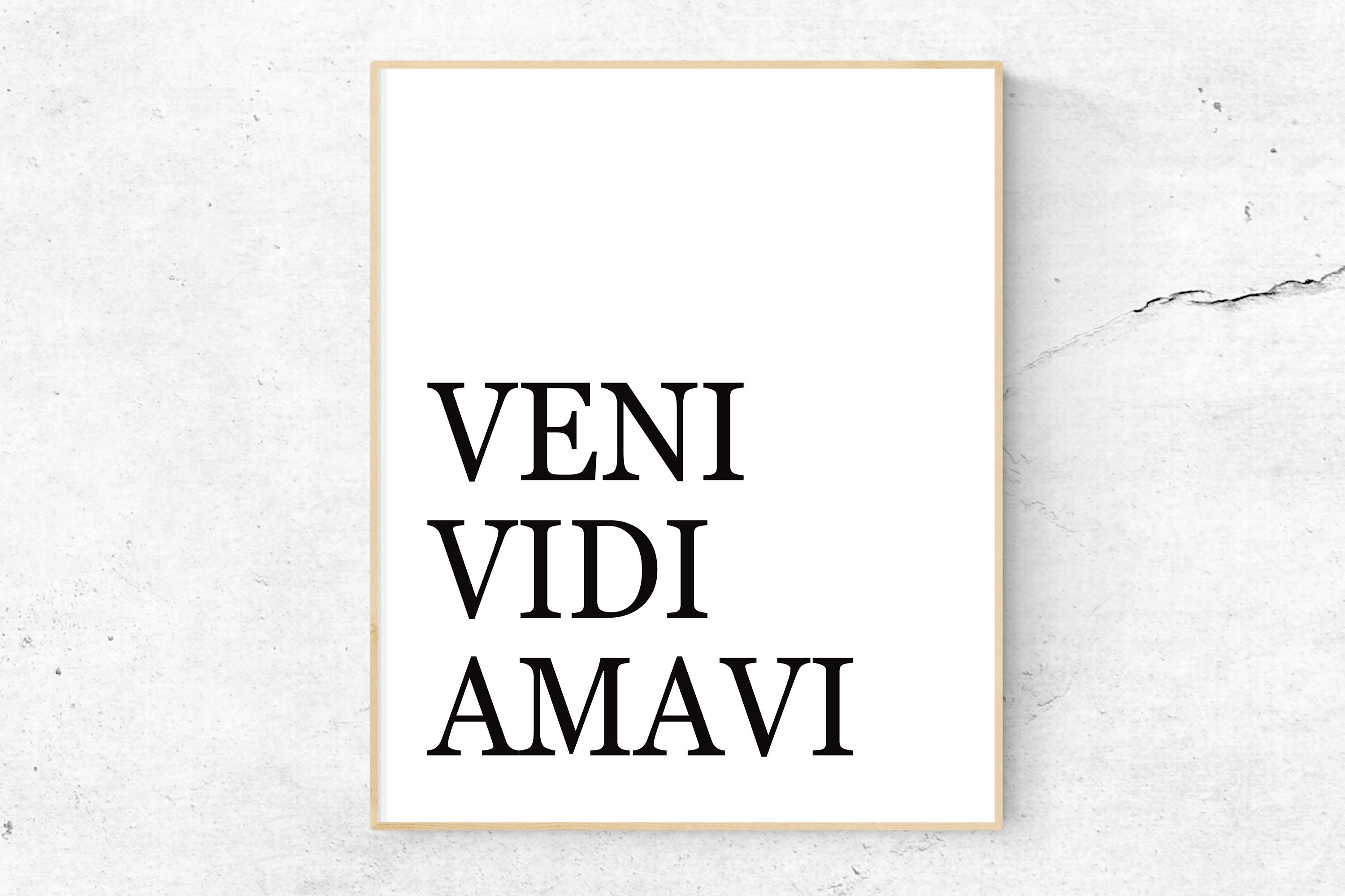 Veni Vidi Amavi – The Pursuit Of Greyness