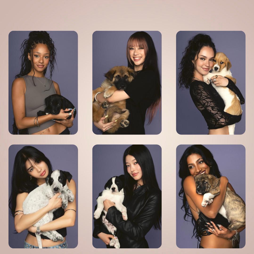 KATSEYE Puppy Photoshoot Photocard Eyekons Katseye Merch K pop KATSEYE Puppy Photoshoot Photocard Eyekons Katseye Merch K pop